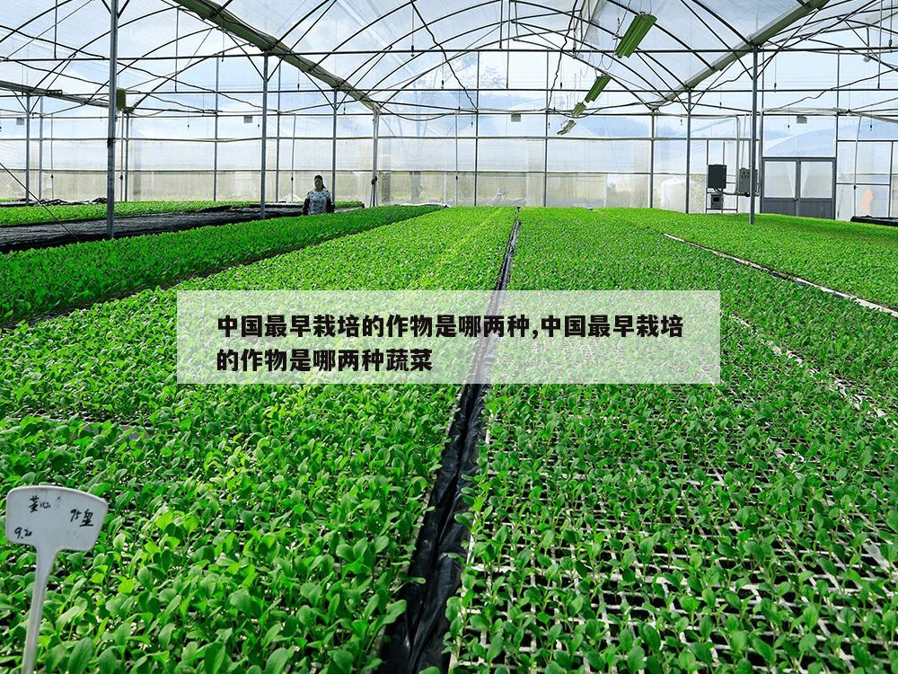 中国最早栽培的作物是哪两种,中国最早栽培的作物是哪两种蔬菜